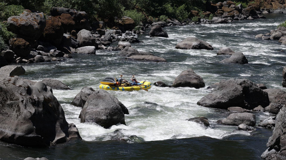 Wild Rivers with Tillie